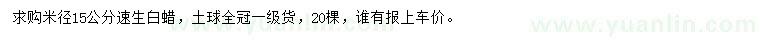 求購米徑15公分速生白蠟