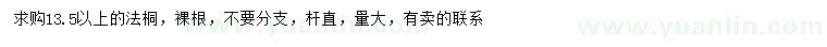 求購(gòu)13.5公分以上法桐