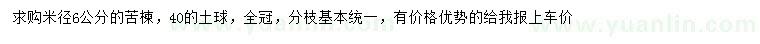 求購米徑6公分苦楝