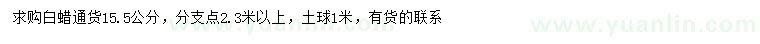 求購15.5公分白蠟
