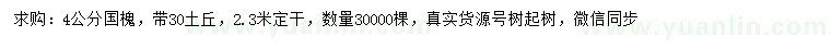 求購4公分國槐