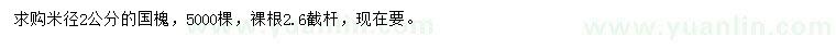 求購米徑2公分國槐