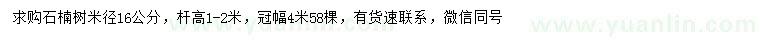 求購米徑16公分石楠