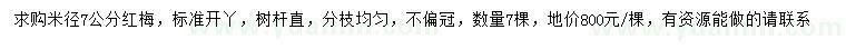 求購米徑7公分紅梅