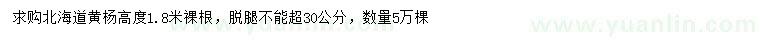 求購高1.8米北海道黃楊