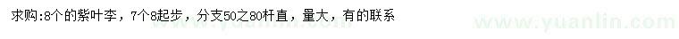 求購(gòu)7.8公分以上紫葉李