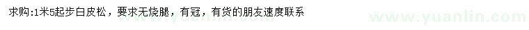 求購1.5米以上白皮松