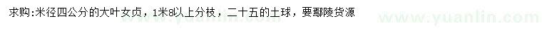 求購米徑4公分大葉女貞