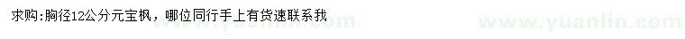 求購胸徑12公分元寶楓