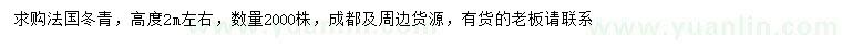 求購高2米左右法國冬青