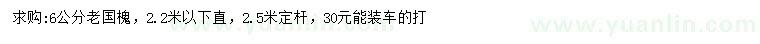 求購6公分老國槐