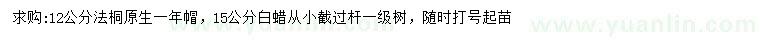 求購12公分法桐、15公分白蠟