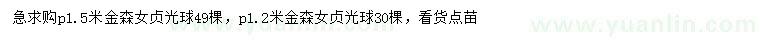 求購(gòu)冠幅1.2、1.5米金森女貞球