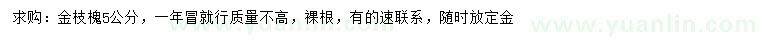 求購5公分金枝槐