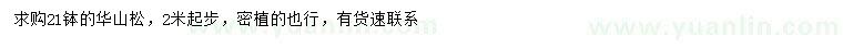 求購2米以上華山松