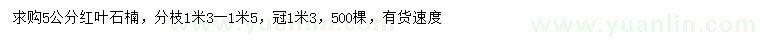 求購5公分紅葉石楠