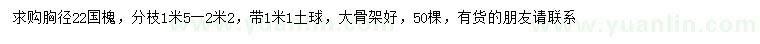求購(gòu)胸徑22公分國(guó)槐