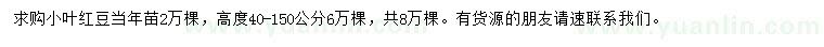 求購(gòu)小葉紅豆小苗