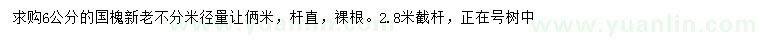 求購(gòu)米徑6公分國(guó)槐