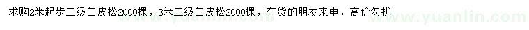 求購(gòu)2、3米以上白皮松