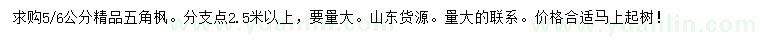 求購(gòu)5、6公分五角楓