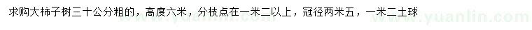 求購30公分柿子樹