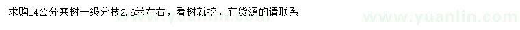 求購14公分欒樹
