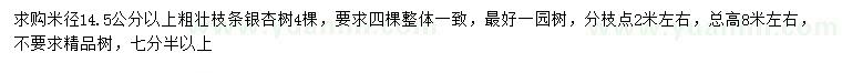 求購米徑14.5公分以上銀杏