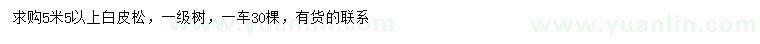 求購5.5米以上白皮松