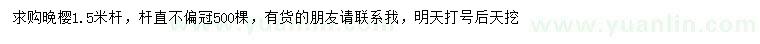 求購(gòu)1.5米晚櫻