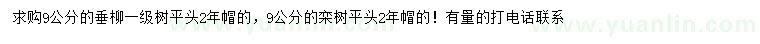 求購9公分垂柳