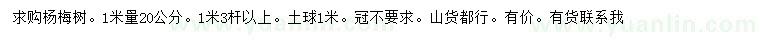求購1米量20公分楊梅樹