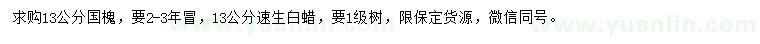 求購13公分國槐、速生白蠟