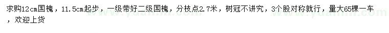 求購11.5公分以上國槐