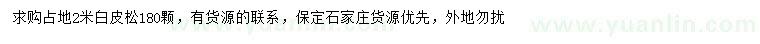 求購2米白皮松