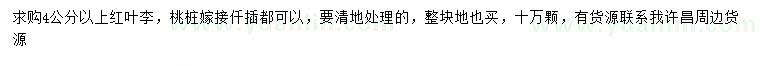 求購4公分以上紅葉李