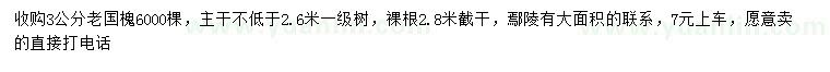 求購(gòu)3公分老國(guó)槐