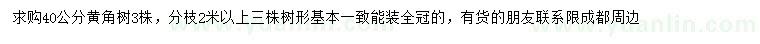 求購40公分黃角樹