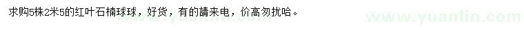 求購(gòu)2.5米紅葉石楠球
