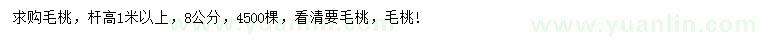 求購8公分毛桃
