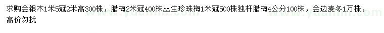 求購金銀木、臘梅、叢生珍珠梅等