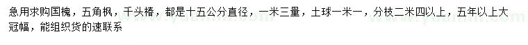 求購(gòu)國(guó)槐、五角楓、千頭椿