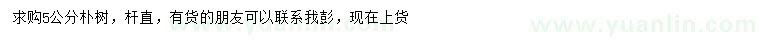 求購5公分樸樹