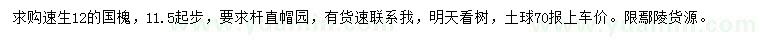 求購11.5公分以上速生國槐