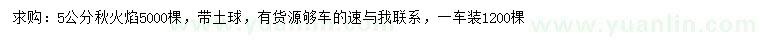 求購(gòu)5公分美國(guó)紅楓秋火焰