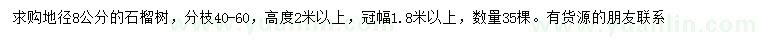 求購(gòu)地徑8公分石榴樹