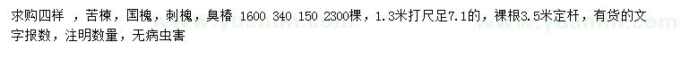 求購苦楝、國槐、刺槐等