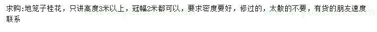 求購(gòu)高3米以上桂花