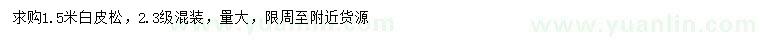 求購1.5米白皮松