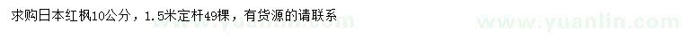 求購10公分日本紅楓